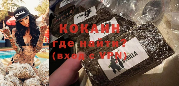 стафф Каменногорск
