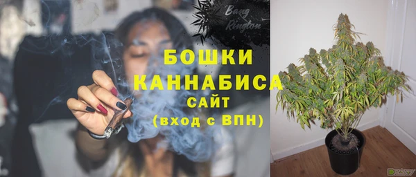 стафф Каменногорск