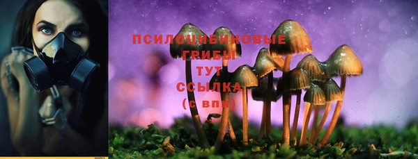 стафф Каменногорск