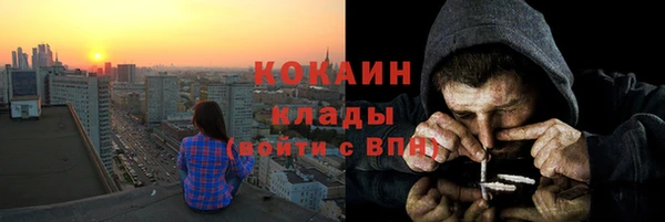 стафф Каменногорск
