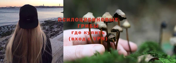 каннабис Каменка