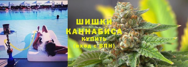 стафф Каменногорск